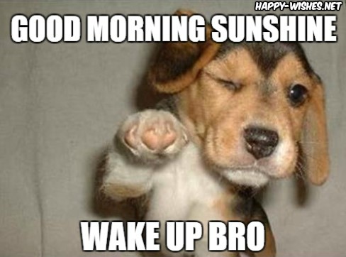 Good-Morning-Sunshineto-you-Bro