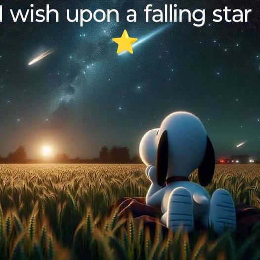 falling star