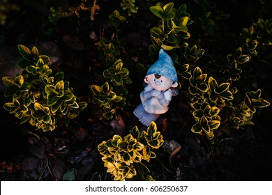 garden-gnome-bushes-260nw-606250637